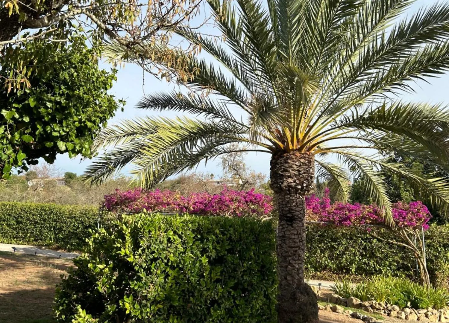 Einzigartige Landhaus-Villa mit Privat-Pool Boliqueime Portugal